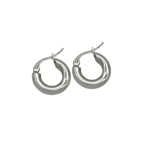 AQ027 | Aros en acero inoxidable macizos