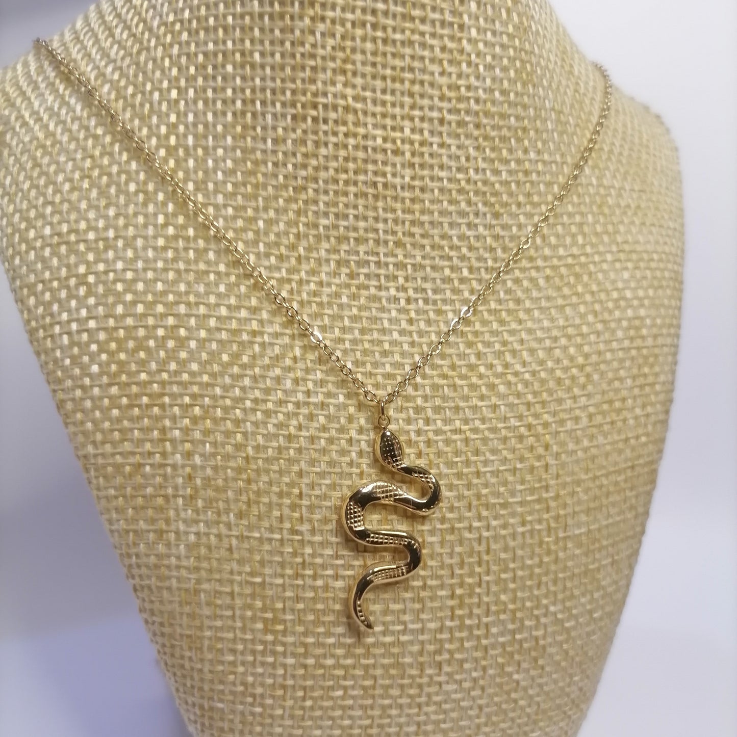 CD029 | Cadena con dije serpiente en acero dorado