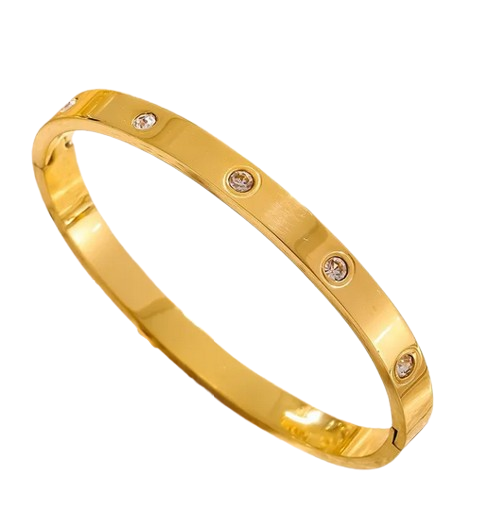 PD020 | Esclava en acero dorado circonias