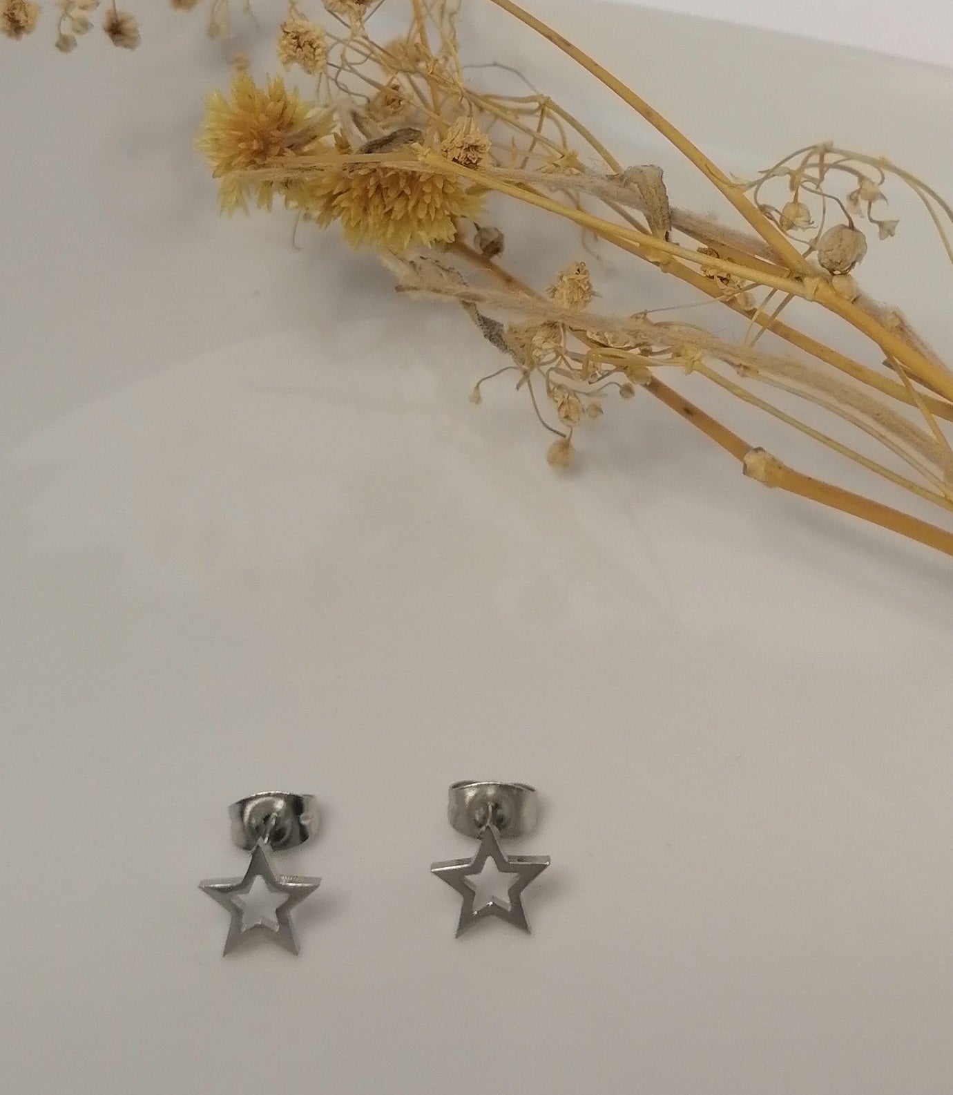 EQ007 | Caravanas estrellita en acero inoxidable